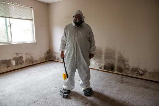 Best Emergency Mold Removal  in Red Hill, PA